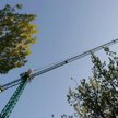 Pracownicy zatrudniani przez podwykonawców nie mają zwykle interesu w ubarwianiu rzeczywistości i in