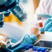 Noble: Spółki biotechnologiczne niedoceniane przez rynek