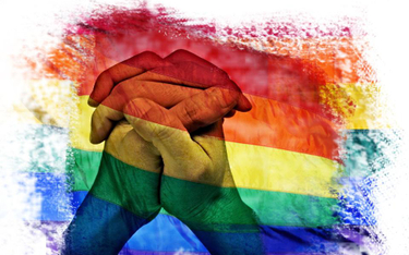 Rzecznik Praw Dziecka: deklaracja LGBT+ może naruszać konstytucję