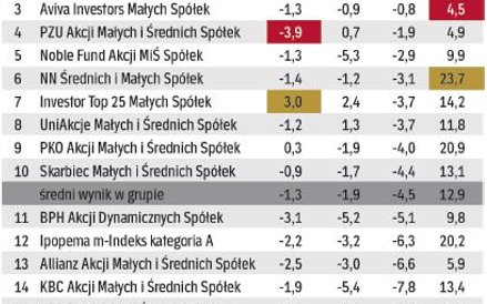 Fundusze akcji małych i średnich spółek