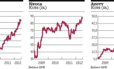 Fundamentalna elita spółek z kluczowych branż na GPW