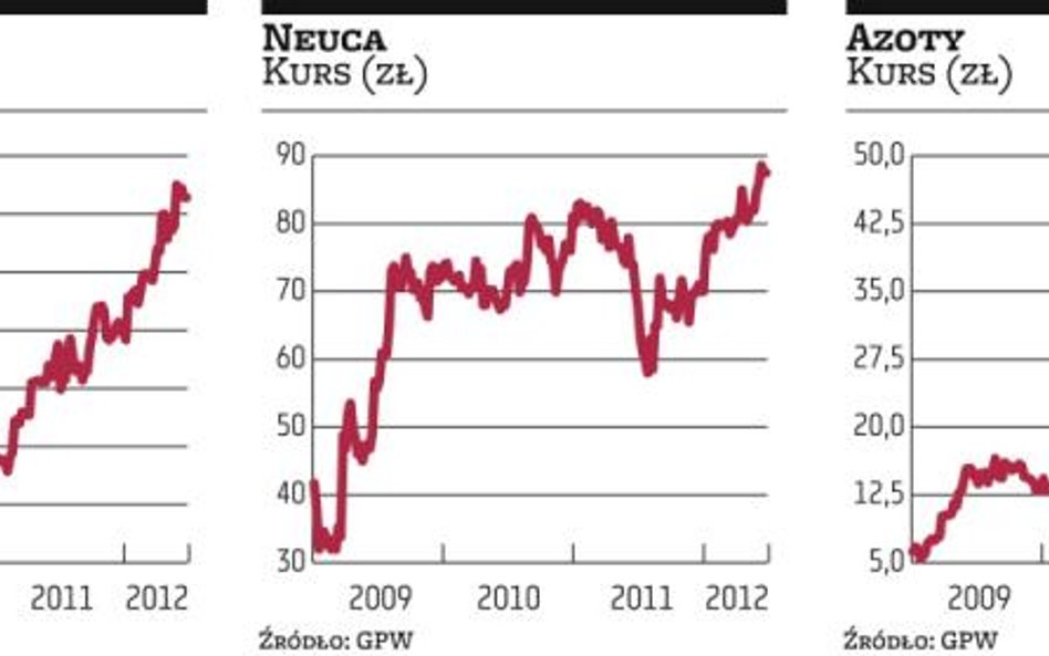 Fundamentalna elita spółek z kluczowych branż na GPW