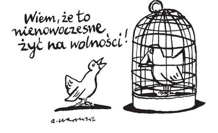 Komentarz rysunkowy. Wiem, że to nienowoczesne