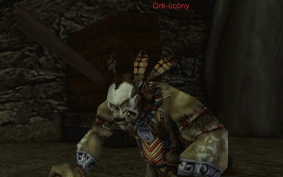 „Gothic” to gra komputerowa stworzona w 2001 r., w której wcielamy się w Bezimiennego, więźnia kolon