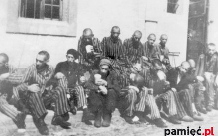 Obóz w Dachau po wyzwoleniu