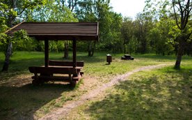 Lasek Bielański, a zwłaszcza tzw. Polana Hutnik, to ulubione miejsce spacerów i wypoczynku mieszkańc