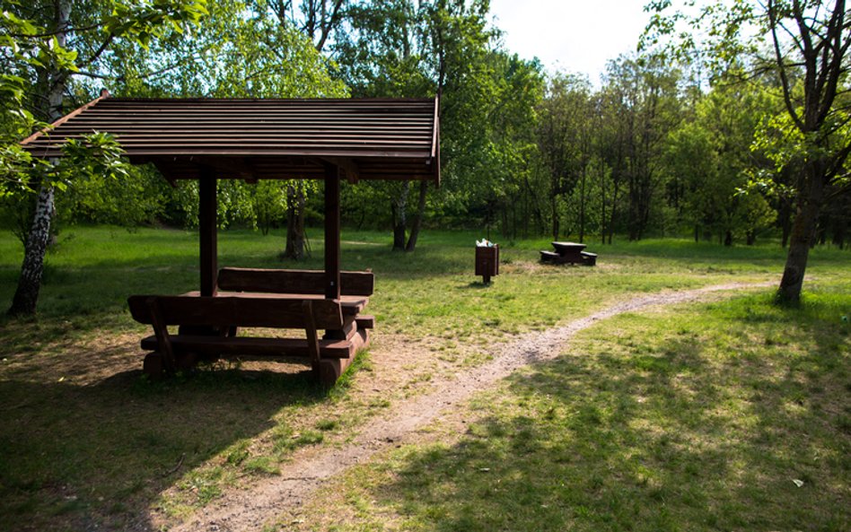 Lasek Bielański, a zwłaszcza tzw. Polana Hutnik, to ulubione miejsce spacerów i wypoczynku mieszkańc