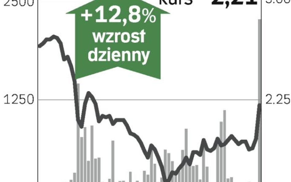 Stalexport zwyżkuje