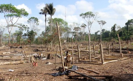 Smartfony rdzennej ludności powstrzymują wylesianie Amazonii