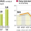 Żyto dziurawi budżet