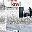 Bitwa na krwawym polu