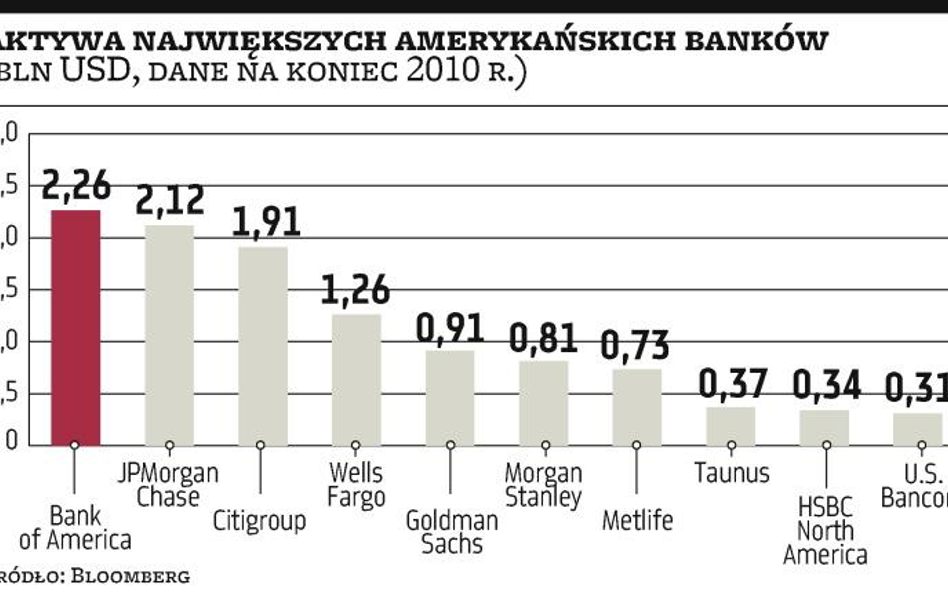 Wielkie banki z USA bardzo urosły w czasie kryzysu