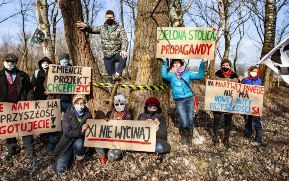 Kraków zielony tylko z kosmosu