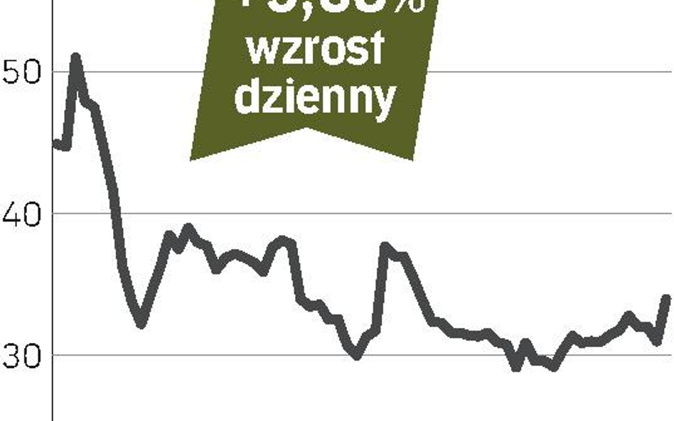 Inwestorzy docenili wyniki