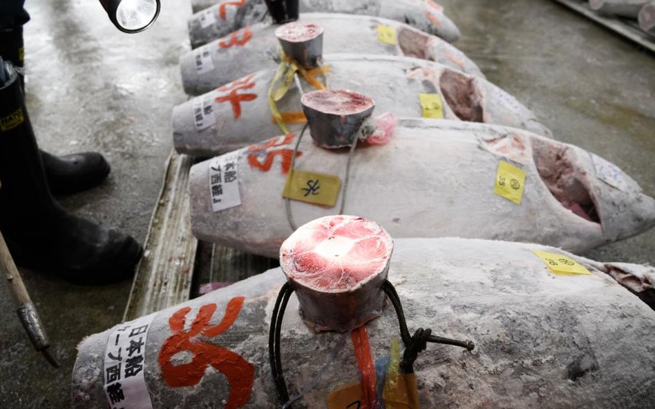 Pierwsza aukcja tuńczyna w 2018 roku na rynku Tsukiji