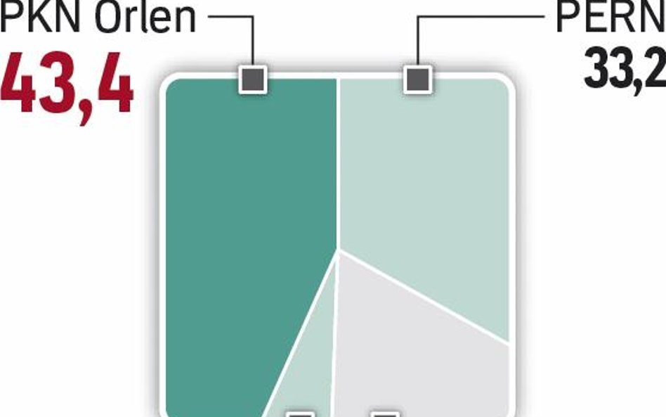 PKN Orlen dominuje