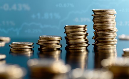 Nisza w niszy, czyli FIZ-y w świecie obligacji korporacyjnych