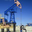 Serinus Energy: Grupa zwiększy wydobycie ropy i gazu