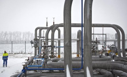Gdynia kupi gaz od Duonu