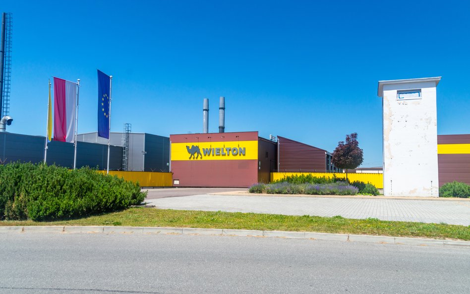 Analitycy widzą potencjał w akcjach Wieltonu