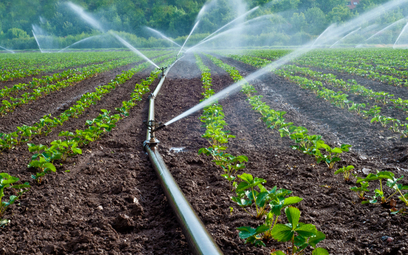 Rolnictwo musi oszczędzać wodę