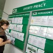 Resort pracy nie chce śmieciówek