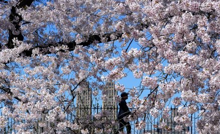 Inflacja w USA wróciła do 5 procent