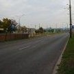 Przystanek, na którym mężczyzna zaatakował jednego z pasażerów