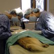 Weterynarz nie ujmuje w remanencie leków i bandaży