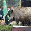 Ministerstwo Środowiska: Od 3 kwietnia myśliwi nie mają wstępu do lasów