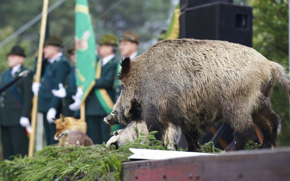 Ministerstwo Środowiska: Od 3 kwietnia myśliwi nie mają wstępu do lasów