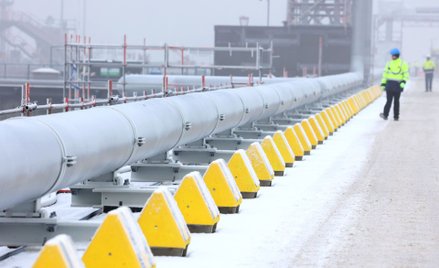 Historyczny dzień niemieckiej energetyki. Pierwszy transport LNG z USA