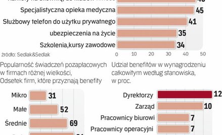 Dodatkowe świadczenia dają częściej duże firmy
