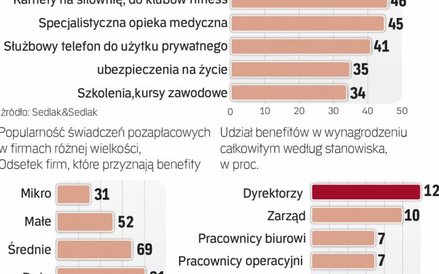 Dodatkowe świadczenia dają częściej duże firmy