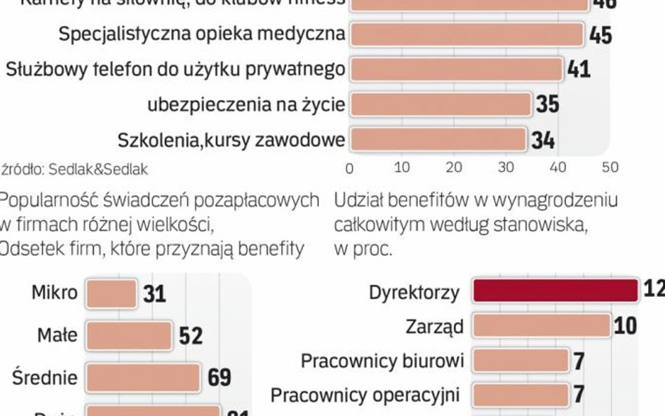 Dodatkowe świadczenia dają częściej duże firmy