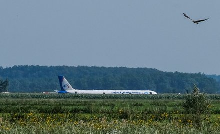 Rosja: Wylądowali w polu kukurydzy. Kreml wręczy im odznaczenia