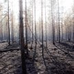Szwecja: Zaczyna brakować wody do gaszenia pożarów
