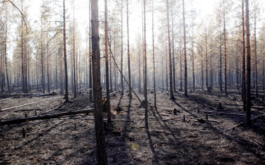 Szwecja: Zaczyna brakować wody do gaszenia pożarów