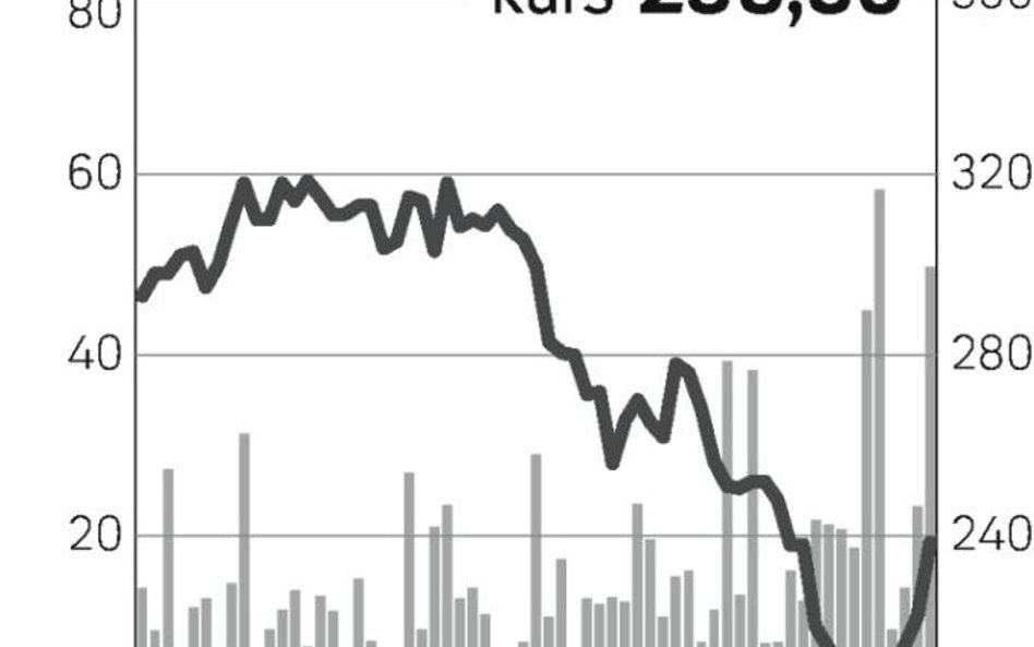 Kolejny dzień zwyżek