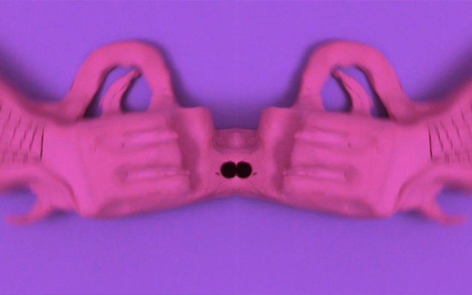 Agnieszka Polska & Witek Orski, Guns, 2014, wideo