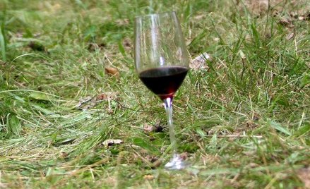 Awantura o świętego od wina