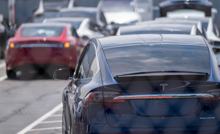 Tesla i Bitcoin: najczęściej oglądane aktywa w USA