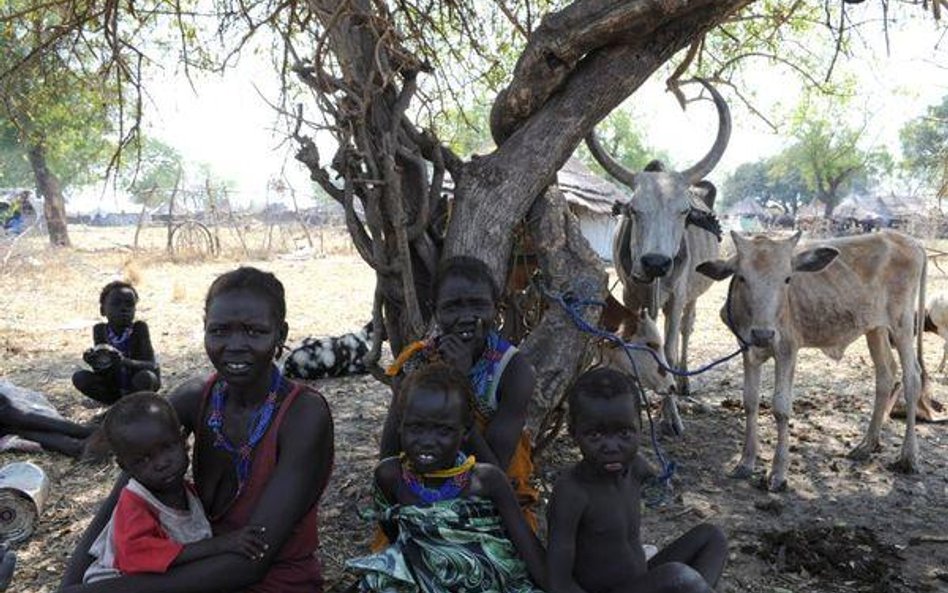 ONZ pomoże Południowemu Sudanowi