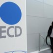 OECD do Polski: zawieście niedzielny zakaz handlu