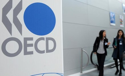 OECD do Polski: zawieście niedzielny zakaz handlu