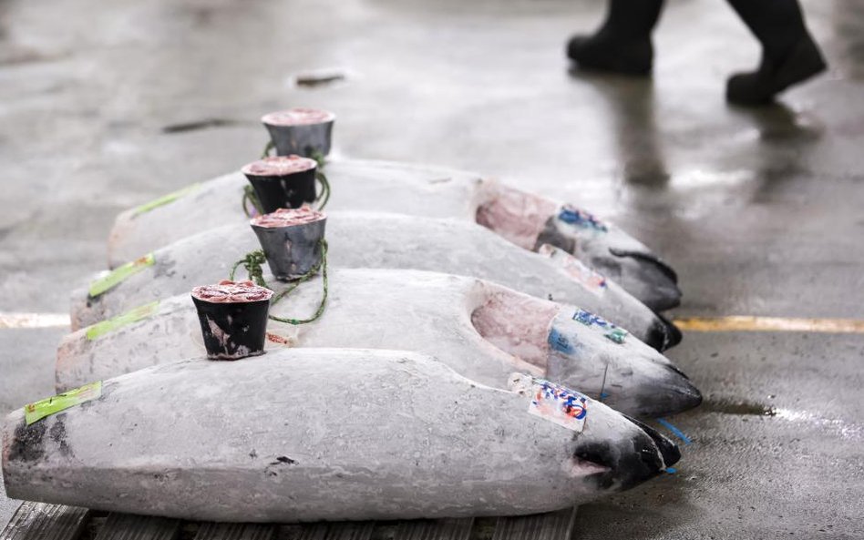 Ostatni aukcja tuńczyka na starym rynku rybnym Tsukiji w Tokio