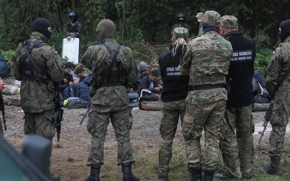 Bosak: Jeśli drut na granicy jest skuteczny, to znaczy, że jest dobry