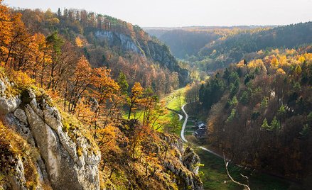 Adam Habuda: Po co ta centralizacja parków narodowych