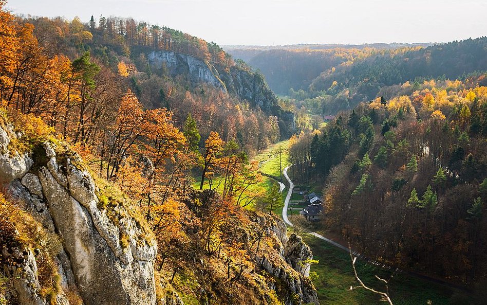 Adam Habuda: Po co ta centralizacja parków narodowych