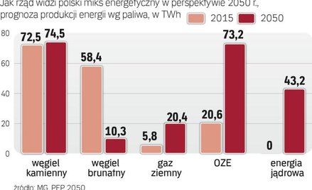 Podstawą miksu energetycznego będzie węgiel